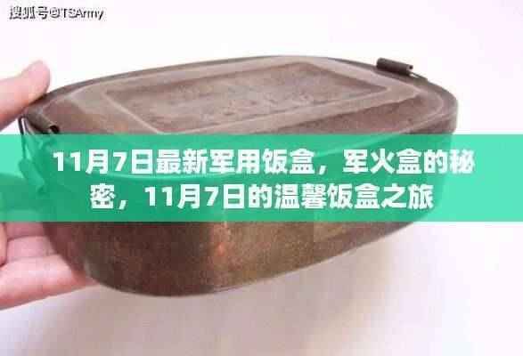 揭秘最新军用饭盒,军火盒的秘密与温馨饭盒之旅