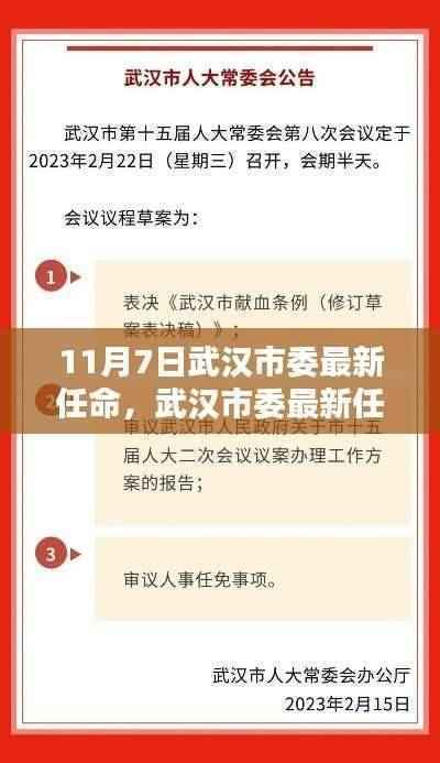 武汉市委最新任命详解,参与并完成任务的全攻略