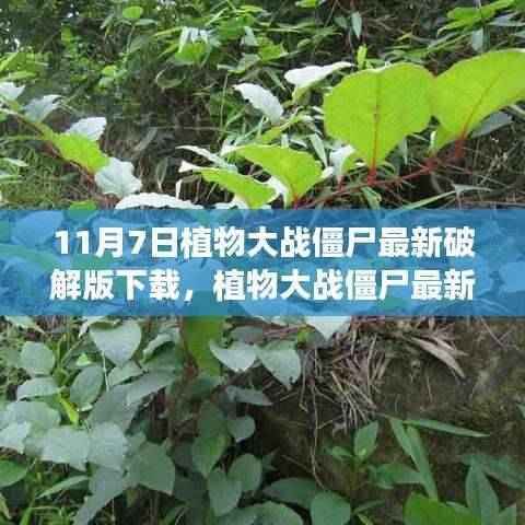 植物大战僵尸最新破解版下载背后的故事与时代记忆争议