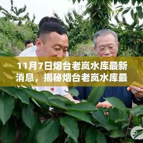 烟台老岚水库最新动态揭秘,11月7日更新,获取全攻略