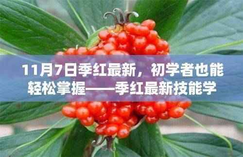 季红最新技能学习全攻略，零基础也能轻松上手（11月7日版）