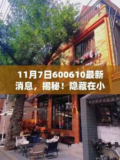 揭秘隐藏小巷深处的独特风味,特色小店神秘面纱下的最新消息(独家报道)