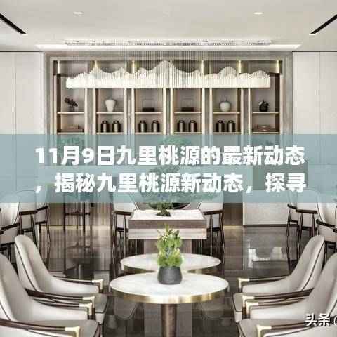 11月9日九里桃源最新动态揭秘，探寻最新进展