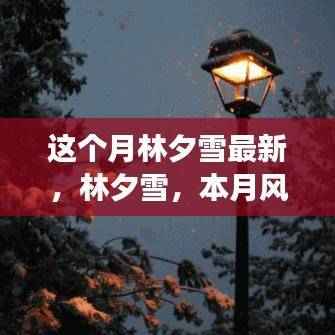 林夕雪本月风云人物深度解析，最新动态与影响力解析