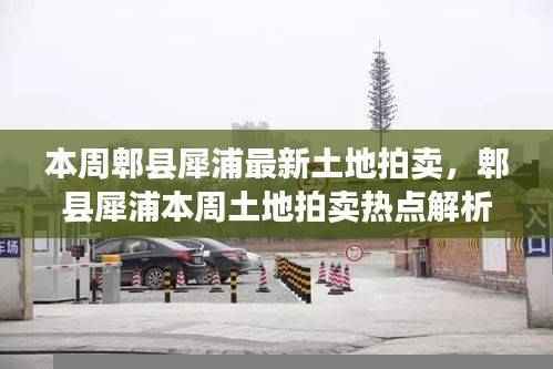 郫县犀浦本周土地拍卖热点解析及最新动态