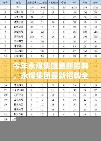 永煤集团最新招聘全面解析，特性、体验、竞争分析与目标用户群体深度探讨