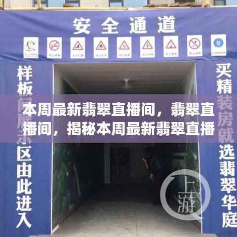 揭秘本周最新翡翠直播间的崛起与影响力大增!