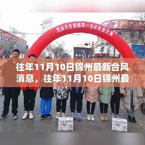 往年11月10日锦州台风最新消息,深度解析与前沿动态报告
