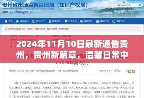 贵州新篇章，温馨日常的奇遇与友情记（2024年11月10日最新通告）