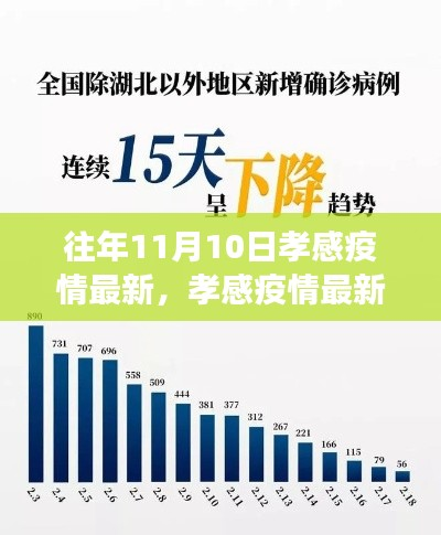 多维视角下的孝感疫情最新动态分析与思考,以历年数据为参考(某观点)