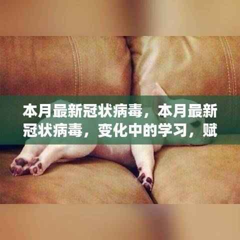 本月最新冠状病毒变化下的学习之旅,自信与成就感的正能量赋予之路