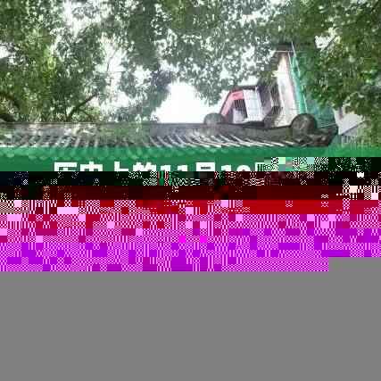 历史上的11月10日东至人网独家揭秘,小巷深处的独特风味