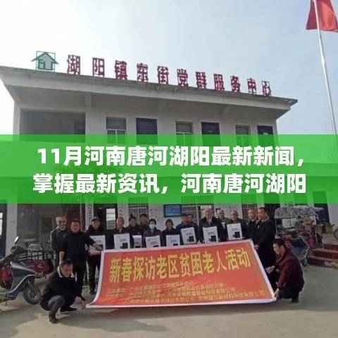河南唐河湖阳地区最新资讯,掌握11月新闻获取攻略