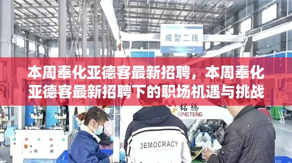 本周奉化亚德客最新招聘,职场机遇与挑战揭秘
