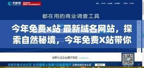 今年免费X站带你探索自然秘境,开启心灵平和之旅新篇章