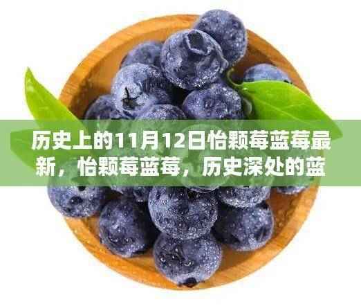 怡颗莓蓝莓的奇缘，历史深处的蓝莓故事与隐秘瑰宝