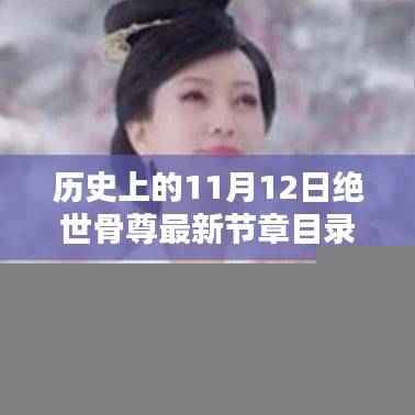 绝世骨尊最新章节目录获取指南,历史上的11月12日详细步骤解析
