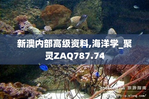 新澳内部高级资料,海洋学_聚灵ZAQ787.74