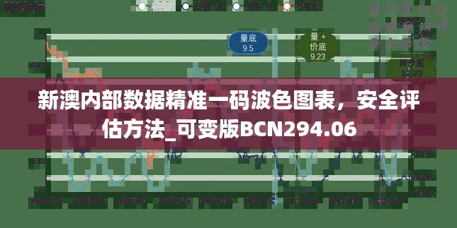 新澳内部数据精准一码波色图表,安全评估方法_可变版BCN294.06