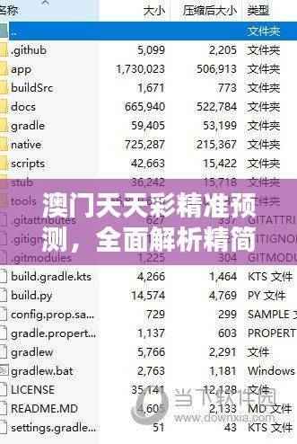 澳门天天彩精准预测，全面解析精简版IYB649.05