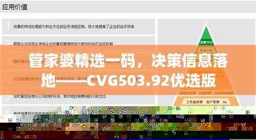 管家婆精选一码，决策信息落地——CVG503.92优选版