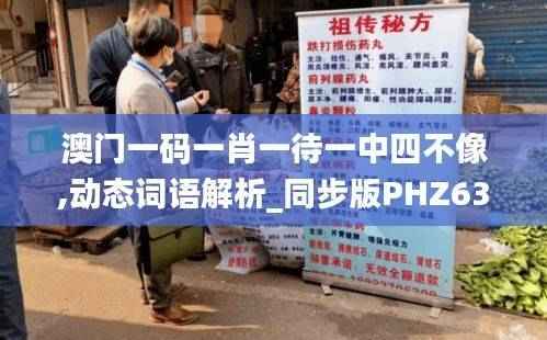 澳门一码一肖一待一中四不像,动态词语解析_同步版PHZ633.5