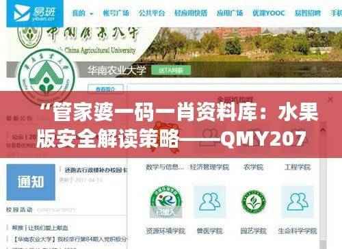 “管家婆一码一肖资料库:水果版安全解读策略——QMY207.49顶级版”
