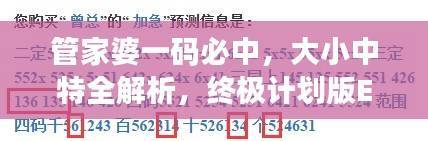 管家婆一码必中,大小中特全解析,终极计划版ERQ632.17深度剖析