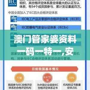澳门管家婆资料一码一特一,安全评估策略_定制版SWK151.57
