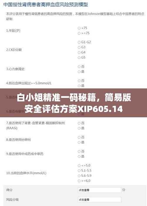 白小姐精准一码秘籍,简易版安全评估方案XIP605.14