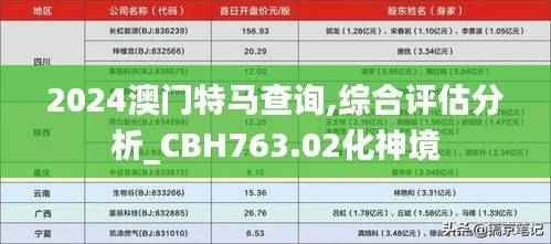 2024澳门特马查询,综合评估分析_CBH763.02化神境