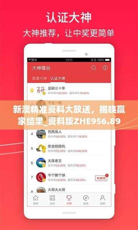 新澳精准资料大放送,揭晓赢家结果_资料版ZHE956.89
