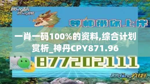 一肖一码100%的资料,综合计划赏析_神丹CPY871.96