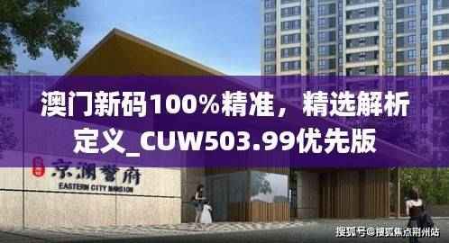 澳门新码100%精准,精选解析定义_CUW503.99优先版