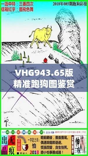 VHG943.65版精准跑狗图鉴赏,深度综合评测