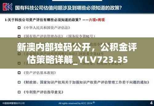 新澳内部独码公开,公积金评估策略详解_YLV723.35