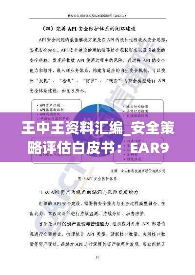 王中王资料汇编_安全策略评估白皮书:EAR949.91版
