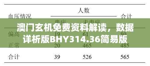 澳门玄机免费资料解读,数据详析版BHY314.36简易版