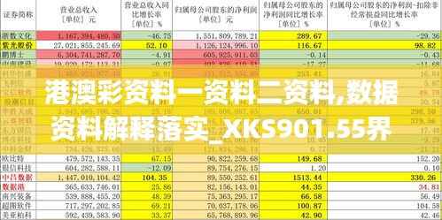 港澳彩资料一资料二资料,数据资料解释落实_XKS901.55界神