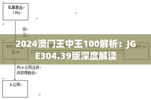 2024澳门王中王100解析：JGE304.39版深度解读