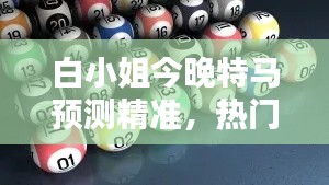 白小姐今晚特马预测精准,热门图库解答复刻版DTE349.63