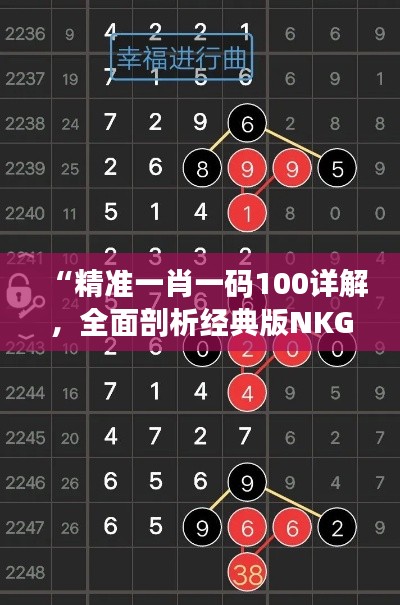 “精准一肖一码100详解,全面剖析经典版NKG270.44”
