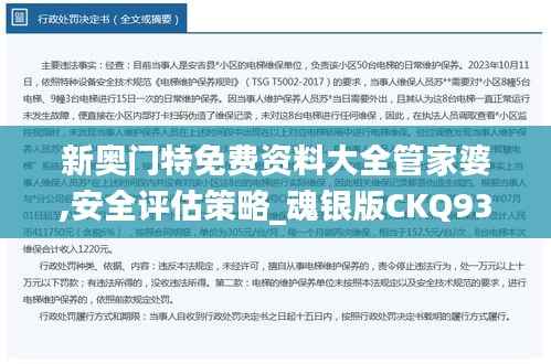 新奥门特免费资料大全管家婆,安全评估策略_魂银版CKQ931.41