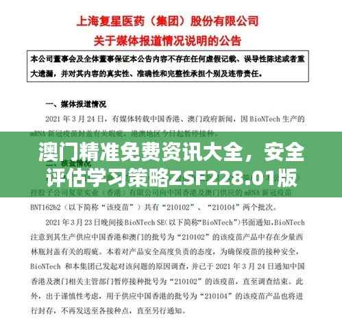 澳门精准免费资讯大全,安全评估学习策略ZSF228.01版