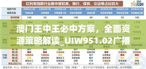 澳门王中王必中方案,全面资源策略解读_UIW951.02广播版
