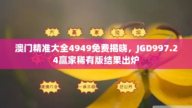澳门精准大全4949免费揭晓,JGD997.24赢家稀有版结果出炉