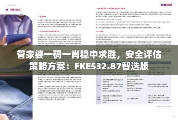 管家婆一码一肖稳中求胜，安全评估策略方案：FKE532.87智选版