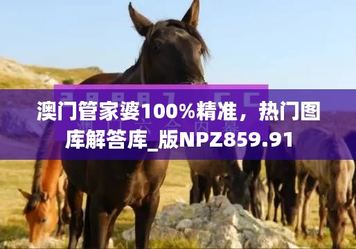 澳门管家婆100%精准,热门图库解答库_版NPZ859.91