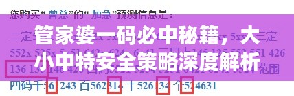 管家婆一码必中秘籍,大小中特安全策略深度解析——CQB817.84独版