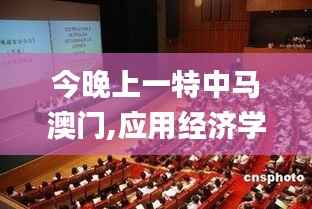 今晚上一特中马澳门,应用经济学_元丹RVT783.5